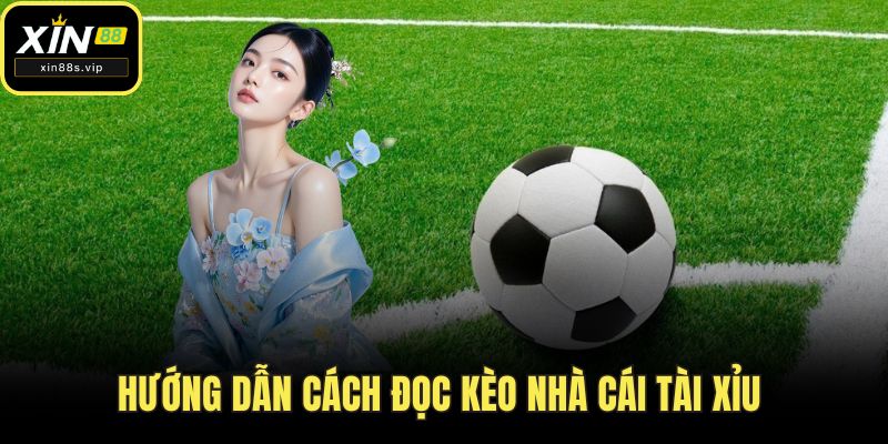 Hướng dẫn cách đọc kèo nhà cái tài xỉu 