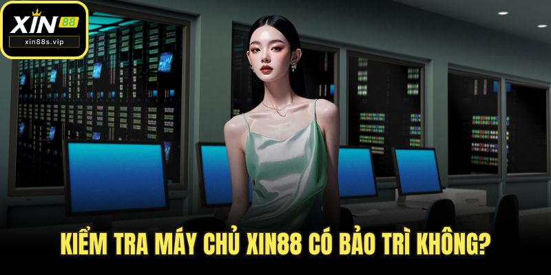 Đăng Nhập XIN88 Kiểm tra máy chủ XIN88 có bảo trì không?