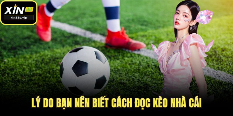 Lý do bạn nên biết cách đọc kèo nhà cái