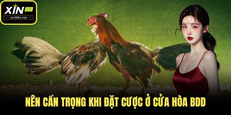 Nên cẩn trọng khi đặt cược ở cửa hòa bdd