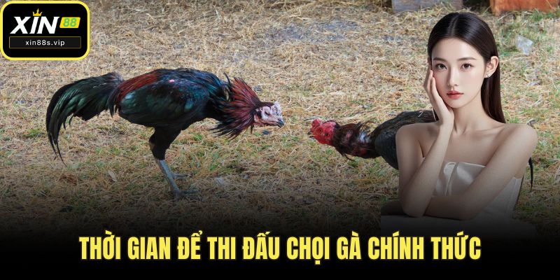 Thời gian để thi đấu chọi gà chính thức