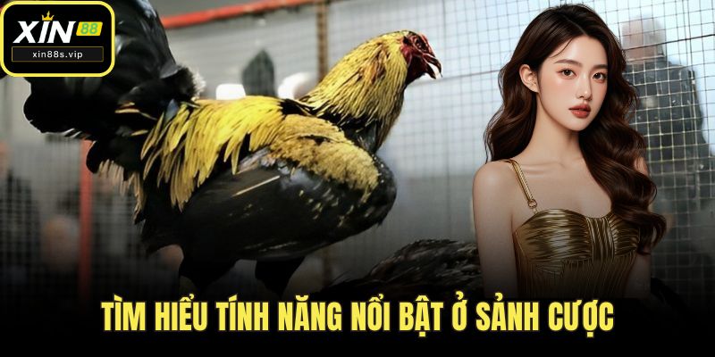 Tìm hiểu tính năng nổi bật ở sảnh cược