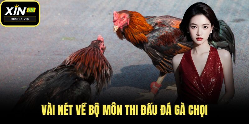 Vài nét về bộ môn thi đấu đá gà chọi