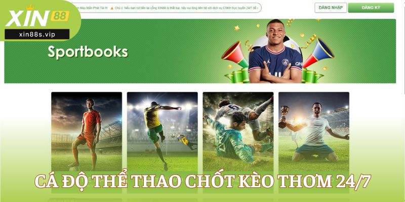 Cá độ thể thao chốt kèo thơm 24/7